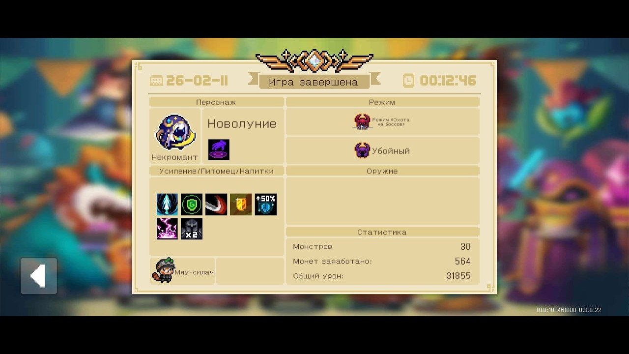 Rush to purity HNWC+ | Necromancer 1st skill | Soul Knight