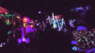 Longwood Gardens Nightscape: The Silver Gardens
