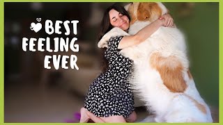 Hugging my dog for too long (you should try this) 😍