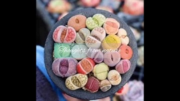 سورة الكهف { العفاسي } عندما يجتمع جمال الصوت مع جمال الطبيعة ♥️♥️  Surat Al-Kahf {Al-Aallasi}