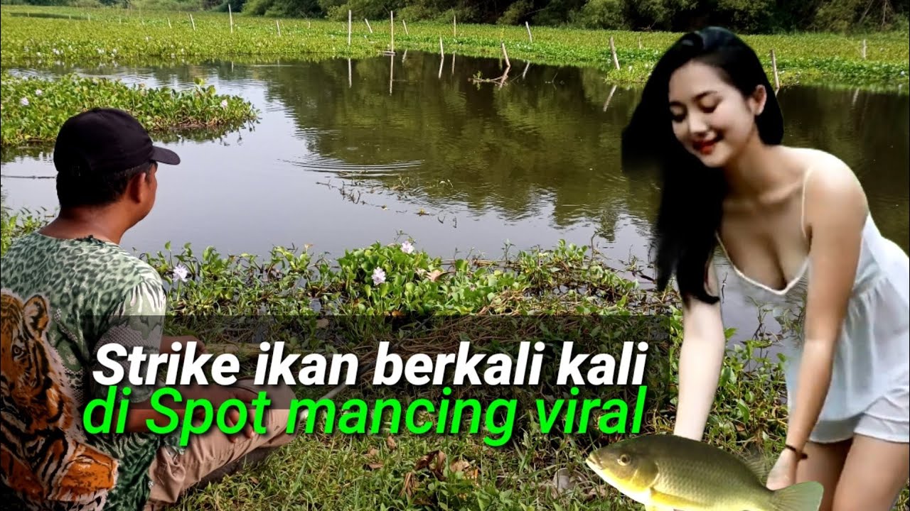 Lokasi mancing tersembunyi penuh kejutan ikan sapu-sapu 