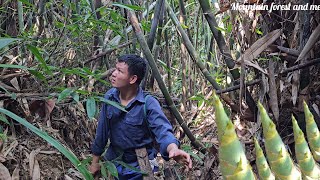 Harvesting wild bamboo shoots, fencing the garden, visiting fishing lines (EP186)