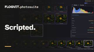 Script every part of your photo app: REST API and TypeScript SDK | FLOGVIT.photosuite