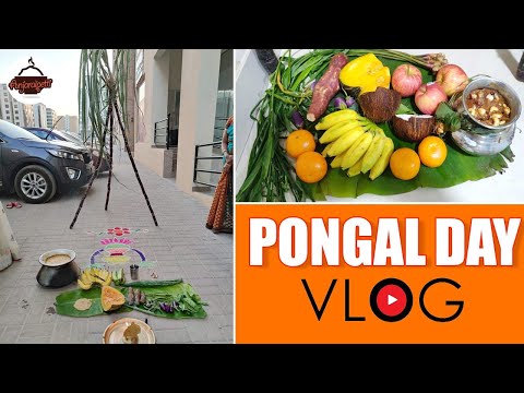 Pongal day Vlog | எங்க வீட்டு பொங்கல் | Anjaraipetti