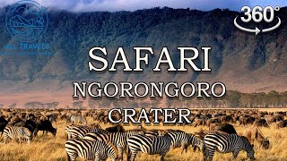 Ultimate Guide to Ngorongoro Crater Tanzania Safari | 360 video