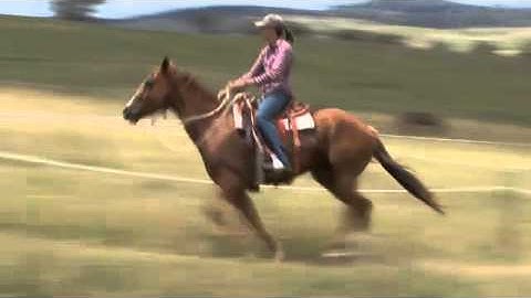 International Horsemans Institute - Anna Residential Student - by Tony Lander