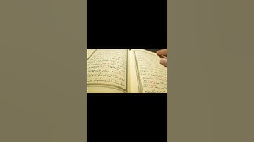 Kaun sa hai Duniya🌏 me sabse jyada rakha jane wala naam??🤔|Facti_boyz