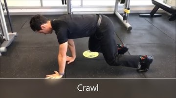 Quadruped Exercises
