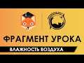 Влажность воздуха [Фрагмент урока в Фоксфорде]