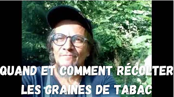 Où se procurer des graines de tabac ?