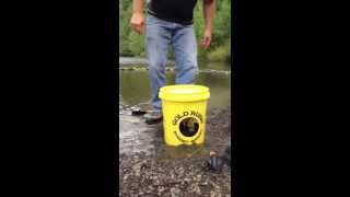 The Best Gold Panning Kit: The Gold Rush Nugget Bucket