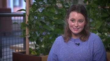 Study Science for Sustainable Development at LiU in Sweden