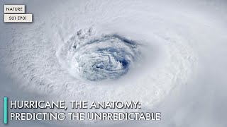 Hurricane, The Anatomy: Predicting the Unpredictable