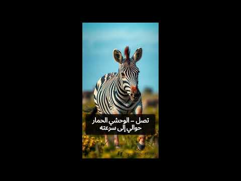 10 حيوانات أسرع من الريح رقم 1 سيفاجئك