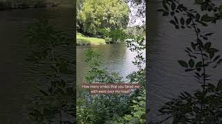 @NiallHoran better man #dinnerparty #niallhoran #betterman #nature #peacefulvibes #aesthetic