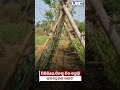 "ଅଫିସରଙ୍କ ଦେଖା ନାହିଁ, ଜନ ପ୍ରତିନିଧି ଚୁପ୍‌; ପିପିଲିରେ ପାଣି ପାଇଁ ସବୁଠି ହାହାକାର ରୂପ!"!UBCNEWS