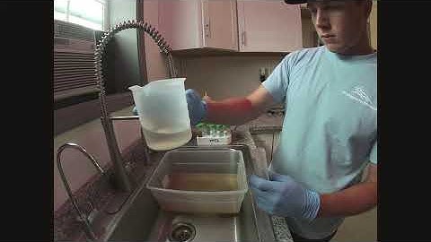 Nematode Extraction From Roots