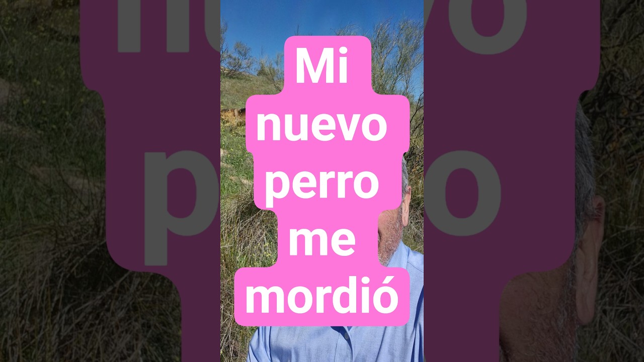 Mi nuevo perro me mordió