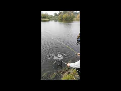 Kærshovedgård og lystrup