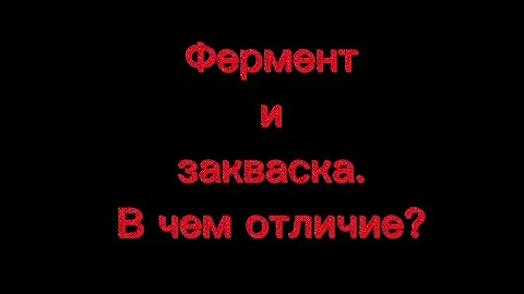 Фермент и закваска. В чем отличие?