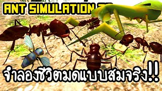 Ant Simulation 3D #1 - จำลองชีวิตมดแบบสมจริง!! [ เกมส์มือถือ ] screenshot 5