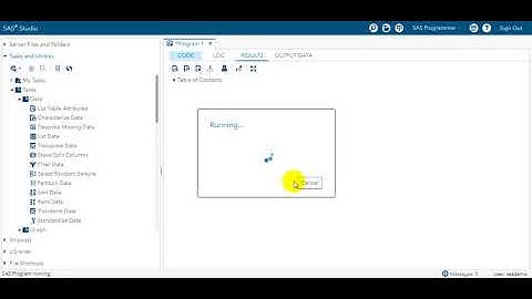 format and informat in SAS