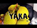 Yaka (Fruta) | Conoce más sobre la Yaka