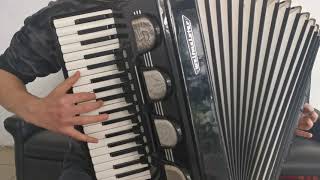 Accordion Weltmeister Stella 120 Bass LMMH (4)