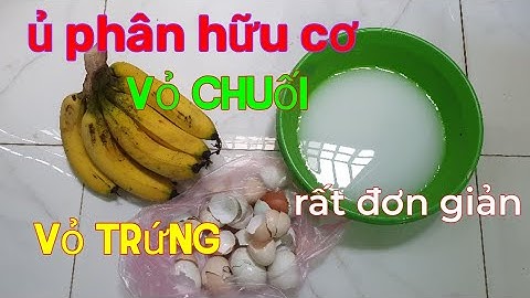 phân bón từ nước vo gạo + vỏ trứng vỏ chuối, rất giàu  canxi, kali.., rất tốt cho cây trồng.