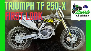 All New TRIUMPH TF 250-X First Look