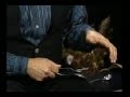 David Holt: How to Play the Spoons - YouTube