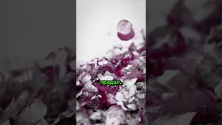 Трябва Да Се Пазиш Повече От Страхливеца, Отколкото От Смелия.