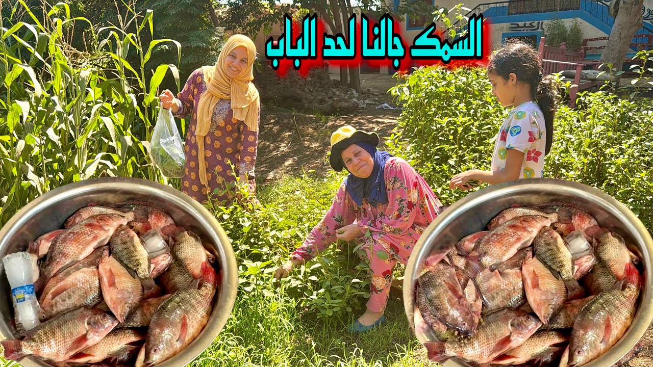 دخلو علينا بالخير 🥰مكناش متوقعين الخير دة 🤯 وكنا لازم نقوم بالواجب 💪🥰