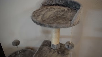 Product Review: FISH NAP US06H Cat Tree Cat Tower Cat Condo Scratching Posts with Jump Platform