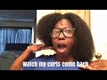 STRAIGHT TO CURLY ROUTINE || WATCH MY TYPE 4A/4B CURLS REVERT BACK [ZERO HEAT DAMAGE?]