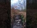 Learning how to use new Insta360 X5 Camera #insta360x5 #nature