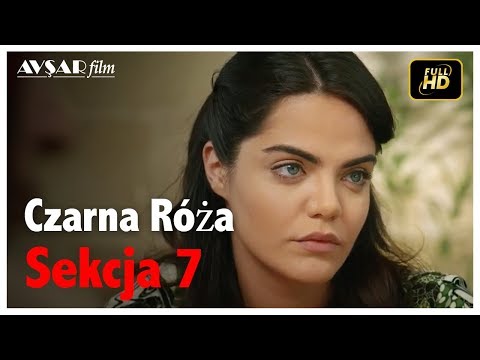 Czarna Róża - Sekcja 7