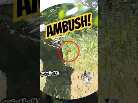 Ambush - Slow Motion Magfed Paintball #shorts #magfedpaintball #paintball #magfedfi