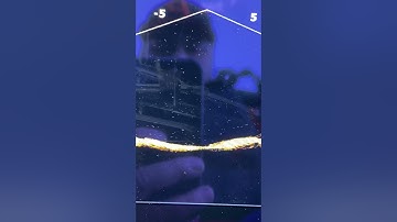 Lowrance Active Target. 18.3m depth