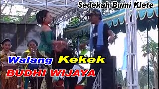 Walang Kekek Budhi Wijaya Sedekah Bumi Klete Randegansari