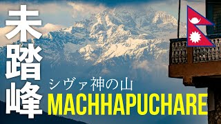 登山禁止！人類未踏峰の山マチャプチャレをもっと近くで。ダンプス村までトレッキング！ヒマラヤのスケールが半端無い    Dhampus trek(ネパール)世界を旅する