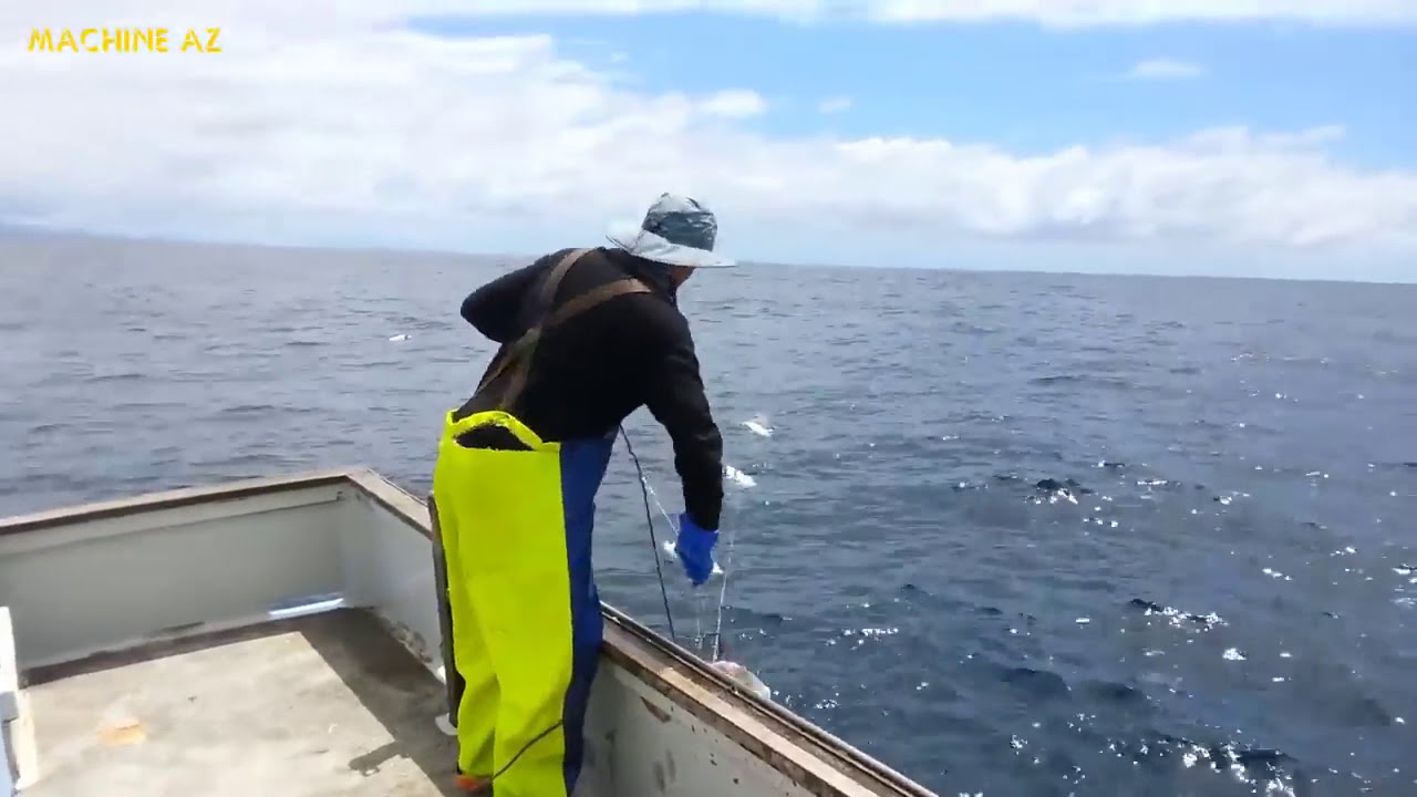 sea of thieves Big Catch in The Sea You Won't Believe That How Many Fish, Fast Fishing Tuna Skill