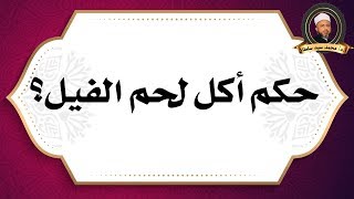 ما حكم أكل لحم الفيل؟ - أ.د/ محمد سيد سلطان