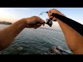 Ocean fishing. Bluefish Jack ladyfish on hard baits. Florida Морская рыбалка, блуфиш, джек