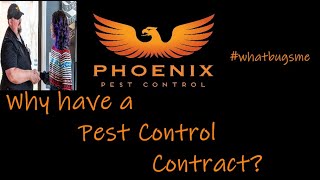 Why do you need a Pest Control Contract? #whatbugsme