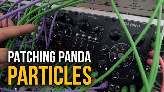 Patching Panda Particles, variaciones creativas en Eurorack
