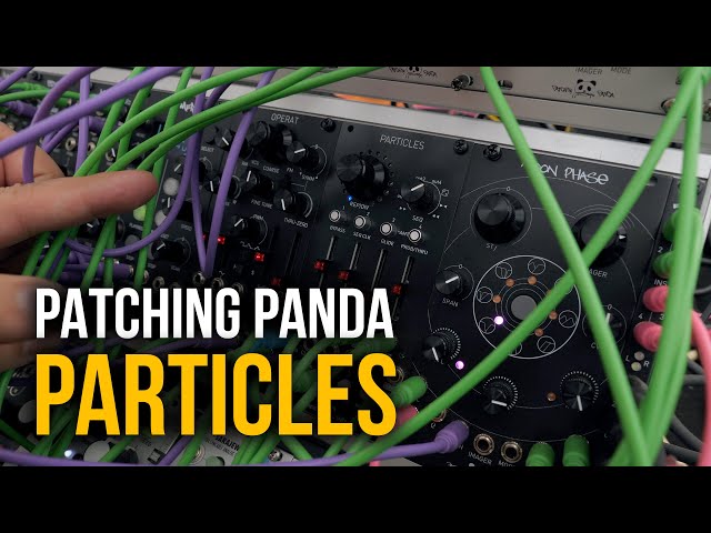 Patching Panda Particles, variaciones creativas en Eurorack - YouTube