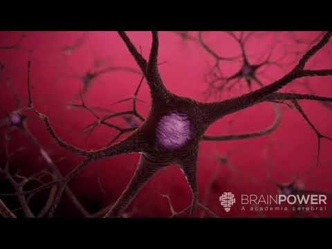 Palestra Infomoney | Academia Cerebral por André Buric - Palestra Infomoney | Academia Cerebral por André Buric