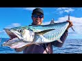Trolling for mackerel (catch & Cook)