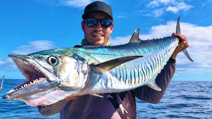 Using Big Baits for BIG mackerel! 